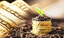 金融保險(xiǎn)投資