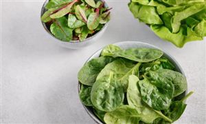 綠色食品電商迎發展機遇 2021綠色食品行業發展研究及企業投資戰略分析