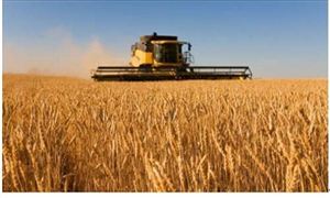 2021年糧食加工未來發展前景及供需情況分析