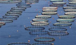 廣東水產(chǎn)品總產(chǎn)量居全國(guó)第一 我國(guó)水產(chǎn)養(yǎng)殖行業(yè)發(fā)展現(xiàn)狀分析