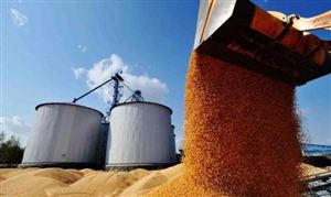 經濟日報:要提升我國糧商在國際糧食市場的話語權和定價權 糧食貿易行業全景調研