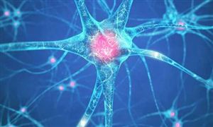 生物大分子及細(xì)胞裝備顯現(xiàn)經(jīng)濟(jì)價值 生物制藥行業(yè)投資趨勢分析