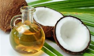 8月1-25日馬來西亞棕櫚油單產增加6.77% 棕櫚油價格或延續上漲