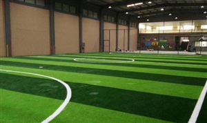 人造草坪市場報告 2021人造草坪行業深度分析及研究