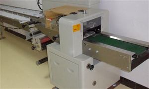 枕式包裝機械市場調查分析與發展趨勢預測