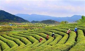 中秋假期掀起鄉(xiāng)村旅游熱 鄉(xiāng)村旅游行業(yè)深度調(diào)研及前景預(yù)測(cè)