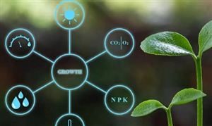 2021全國縣域數(shù)字農(nóng)業(yè)農(nóng)村電子商務(wù)發(fā)展報(bào)告發(fā)布 數(shù)字農(nóng)業(yè)行業(yè)現(xiàn)狀及前景分析