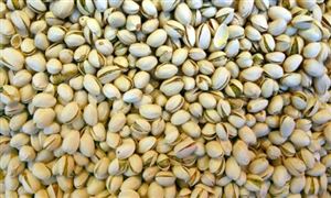 2021開心果行業分析 開心果市場調研分析