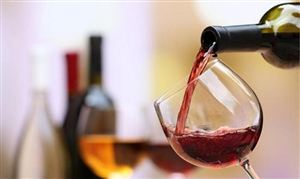 山東煙臺研究葡萄酒產業鏈