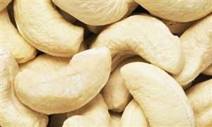 腰果溢價超100% 腰果行業現狀調研分析