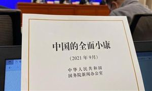 《中國的全面小康》白皮書發布 中國的全面小康什么樣？
