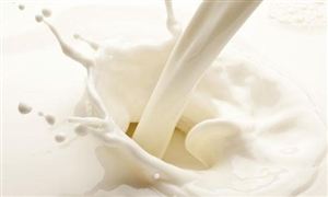 英國農場被迫傾倒數萬公升牛奶 牛奶市場需求分析 