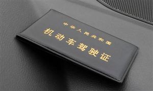 110個(gè)城市第二批推廣申領(lǐng)電子駕照 電子認(rèn)證服務(wù)市場(chǎng)需求升溫