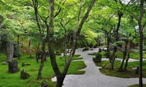 園林景觀(guān)行業(yè)報(bào)告分析 2021園林景觀(guān)行業(yè)發(fā)展現(xiàn)狀及前景