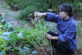 微念所持李子柒公司股權被凍結 李子柒事件是怎么回事?2021網紅經濟發展現狀分析