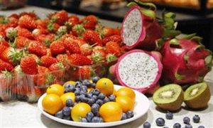 日本水果流通經驗與啟示 中國水果流通行業分析