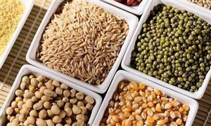 2022粗雜糧行業發展現狀及前景分析