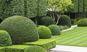 園林養護有前景嗎 園林養護市場規模預測