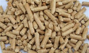 木材顆粒燃料與煤的區(qū)別 全球木質顆粒市場展望