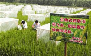 生物農藥行業現狀 生物農藥市場趨勢