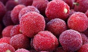 中國楊梅市場規模有多大 2022楊梅行業發展趨勢及市場前景