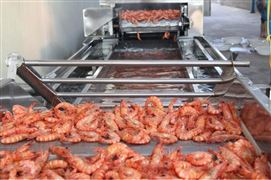 我國水產(chǎn)品加工產(chǎn)業(yè)發(fā)展現(xiàn)狀 水產(chǎn)品加工行業(yè)規(guī)模與發(fā)展方向