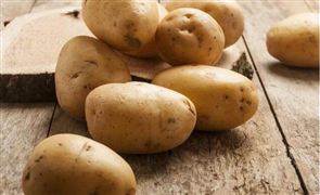 麥當勞日本停售中大號薯條一周 全球供應(yīng)鏈物流危機問題影響