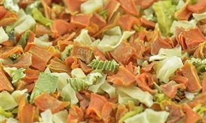 脫水蔬菜企業分布情況  脫水蔬菜市場發展前景分析