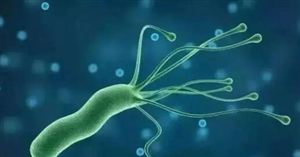 藥監(jiān)局回應所謂牙膏可抗幽門螺桿菌 2022牙膏市場發(fā)展現(xiàn)狀調(diào)研報告