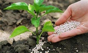 春耕化肥價格可能仍將高位運行 “十四五”化肥行業發展分析