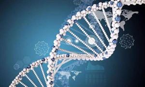 生長激素行業市場調研 未來生長激素競爭格局分析