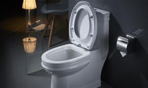 智能馬桶市場規模 智能馬桶行業現狀