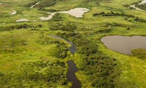 水資源開發市場項目投資 2022水資源開發行業分析報告