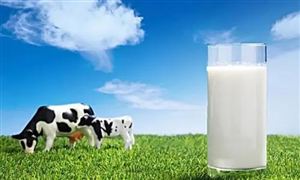 奶業(yè)高位運(yùn)行仍有大空間 2022年奶業(yè)發(fā)展前景及規(guī)劃分析