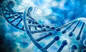 人類基因測序被重新定義 我國基因測序行業空間如何