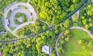 中國綠化苗木產業格局分析 綠化苗木行業發展趨勢如何？