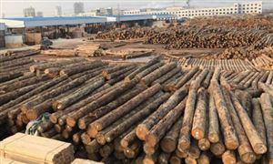 木材加工行業現狀分析 木材加工行業前景展望