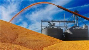 俄烏沖突或令全球糧食價格上漲20% 全球糧食貿易供需面臨的問題分析