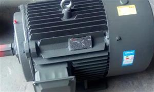 2022年高效節能電機行業現狀及發展前景分析