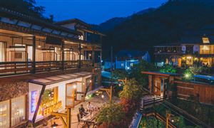 民宿行業市場規模現狀及發展趨勢分析