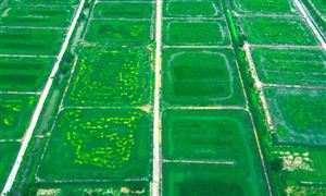 2022農業觀光行業前景及現狀分析