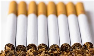 國內煙草產業現狀詳情 煙草未來市場趨勢分析