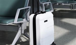 2022拉桿箱行業發展現狀及前景分析