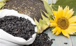 2022年改善睡眠食品行業研究報告及市場發展分析