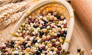 2022年谷物烘干機市場競爭格局及未來發展趨勢分析