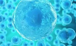 2022年干細(xì)胞醫(yī)療行業(yè)現(xiàn)狀及發(fā)展前景分析