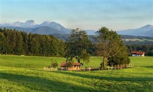 2022國內農莊旅游市場現狀分析及發展趨勢