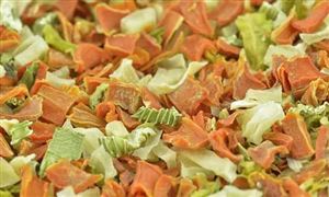 脫水蔬菜出口現狀 脫水蔬菜發展前景及市場規模分析