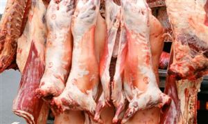 牛羊肉的產量和消費現狀分析