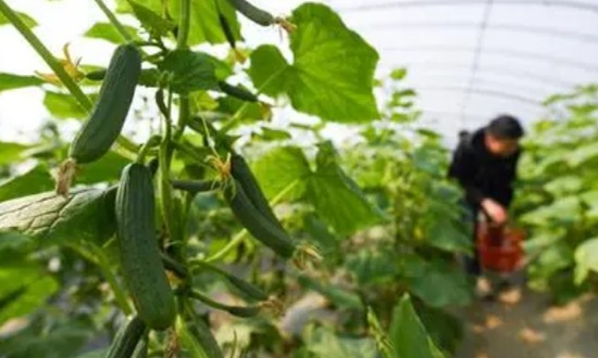 2022年幸福產業發展投資機會分析 “幸福產業”已成我國經濟新的增長點